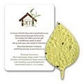 Mini Basil Leaf Style Shape Seed Paper Gift Pack